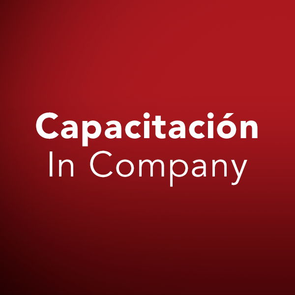 Capacitación In Company